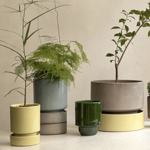 Hovedbilde Hoff fat - 12cm glasert div. 