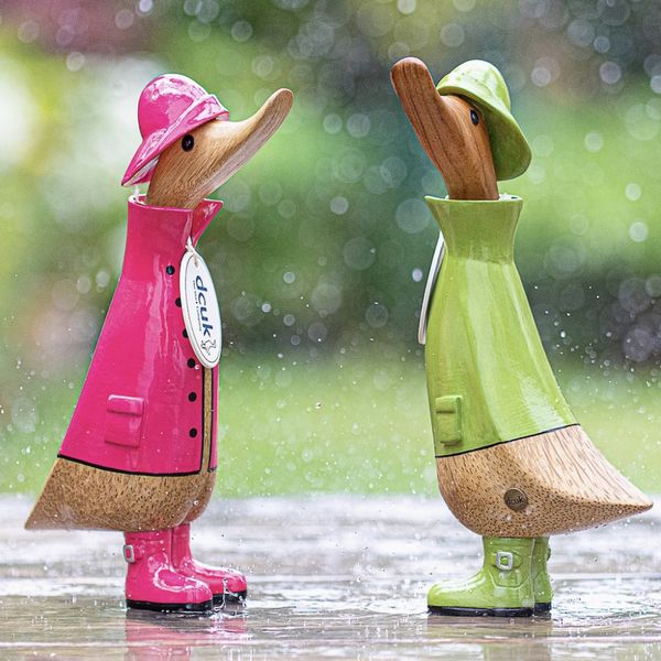 And 21cm Rainy Day Duckling 