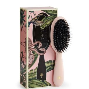 Hovedbilde Fan Palm small - Pink Paradise