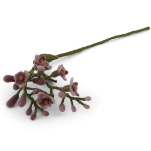 Hovedbilde Ullblomst Bl&aring;regn - lilla 60cm