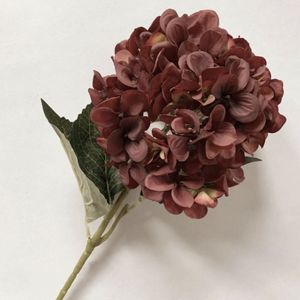 Hovedbilde Hortensia 60cm burgunder