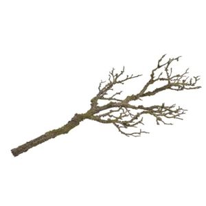 Hovedbilde Gren Dry 80cm 