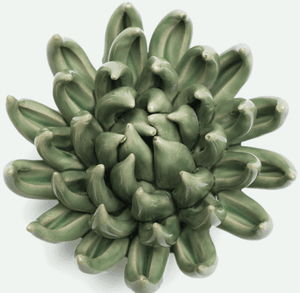 Hovedbilde Blomst i keramikk - Gr&oslash;nn sukkulent 12,7cm