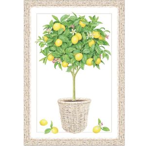 Hovedbilde Kort - Lemon Topiary