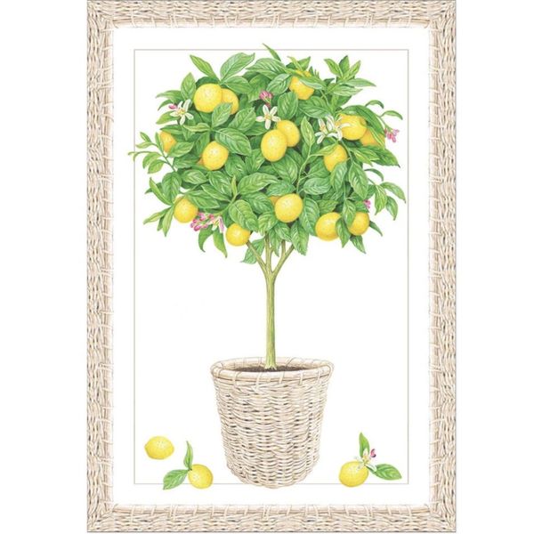 Kort - Lemon Topiary