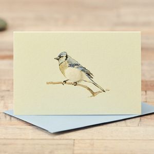 Hovedbilde Lite kort 'Mini Bird Bluejay card' 9*6 cm