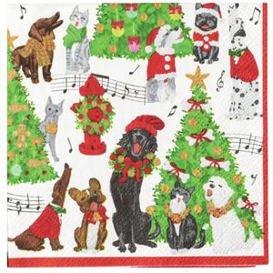 Hovedbilde Caroling Pets - lunsj